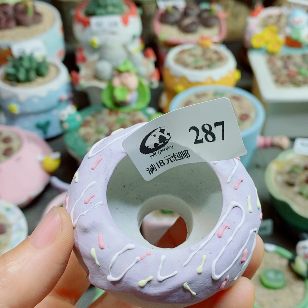 淡***容生石花花花花花花287