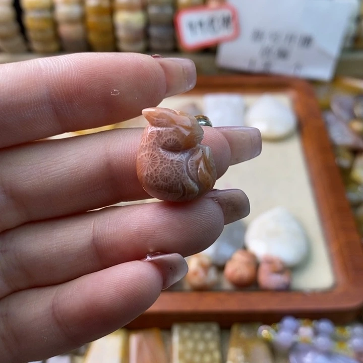 未镶嵌颈饰硅化玉