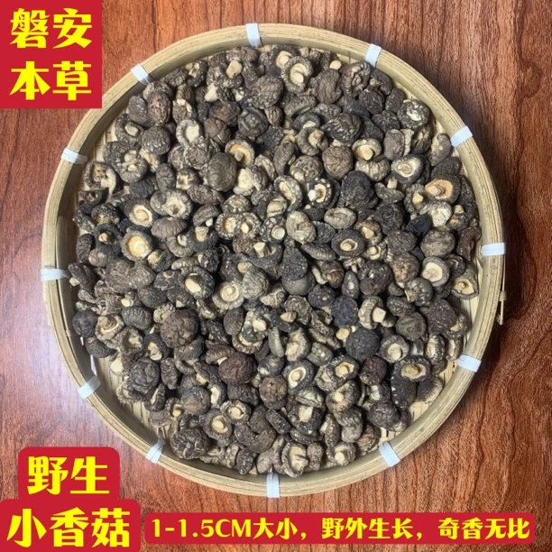 野生小香菇，磐安香菇（1-1.5CM大小，野外生长，奇香无比）