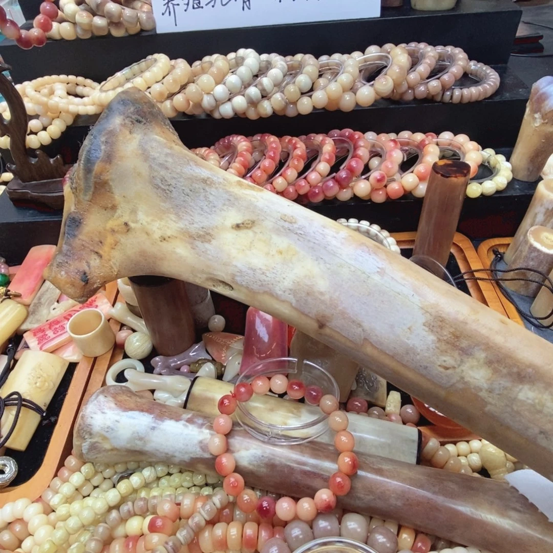 驼骨手串/手链驼骨