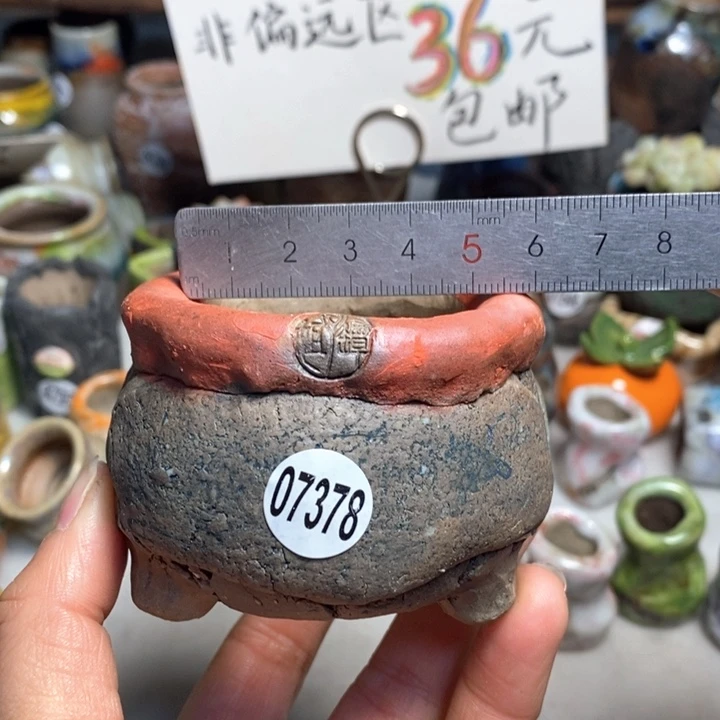 拍3送一个小礼物花盆