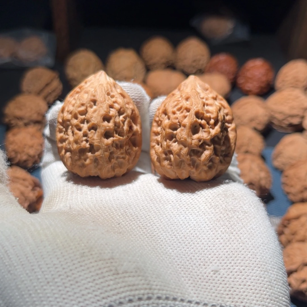 核桃34毕业沈阳鸡心