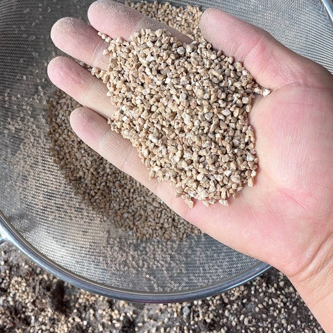 2.5公斤以上黄金软麦饭石