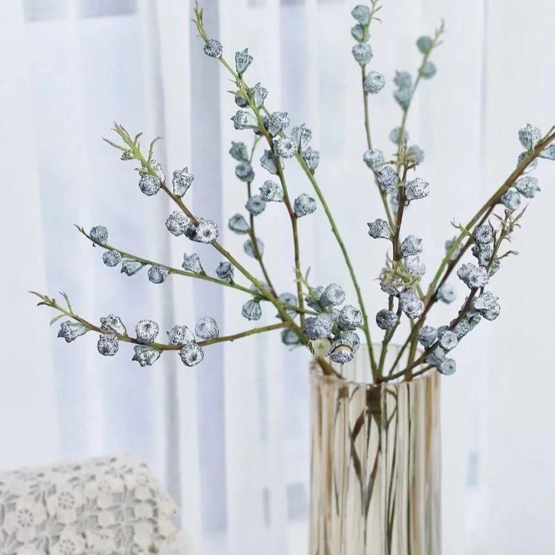 新鲜采摘尤加利果可做干花云南基地直发祛异味驱蚊花材