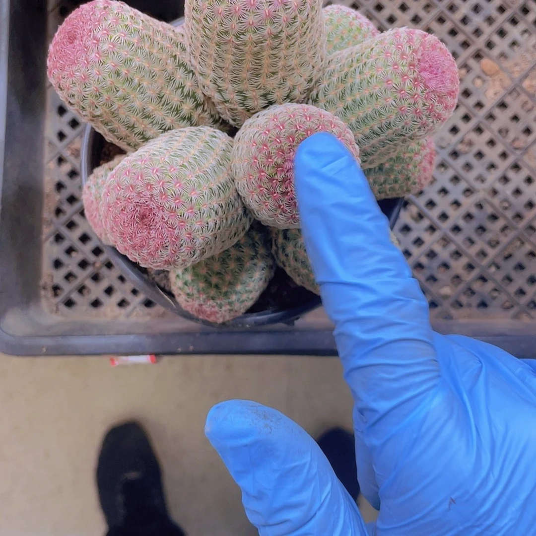 顺风顺水！顺风顺水