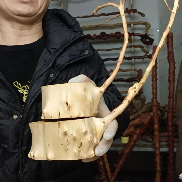 淡***茶香榧木高山 檬子木文玩料