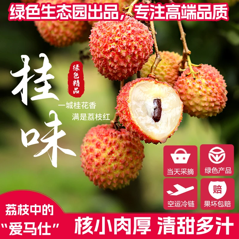 【顺丰包邮】桂味荔枝北流地理标志产品源头现摘现发