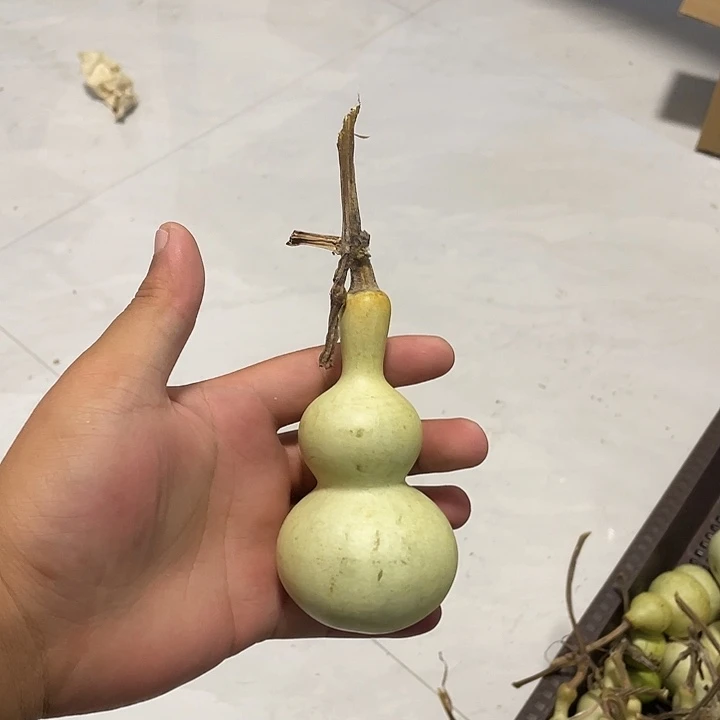你***好感谢大哥支持不保成
