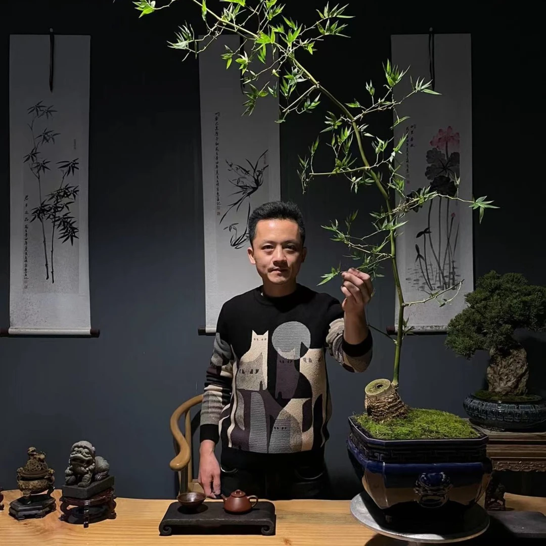 【叶胜园艺】一物一拍专用盆景链接