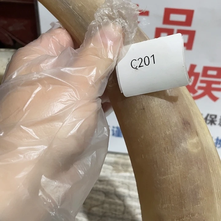 上***力瓷片C201 工艺品222