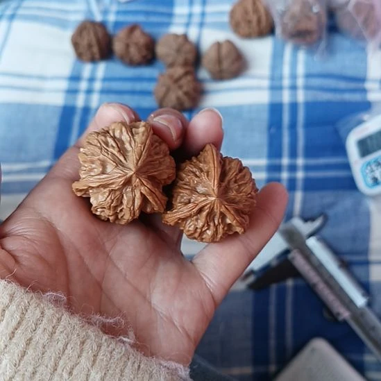 喜****元宝三棱三棱子三棱