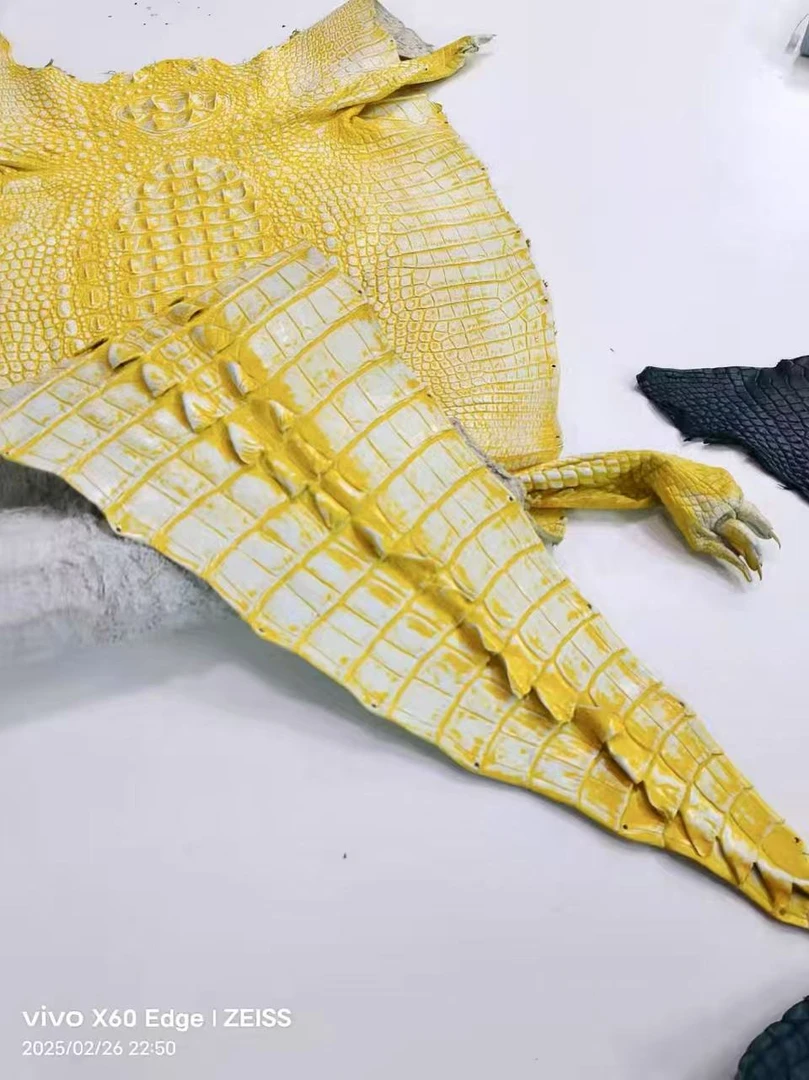 HB【折叠手机包】“中号金金”稀有动物皮意大利进口牛皮女包（无链条）