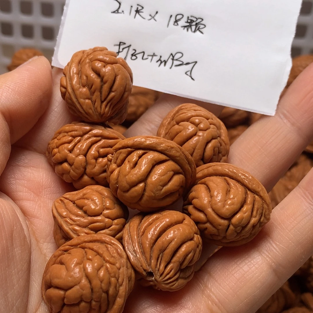 野生龙纹桃核霸王龙