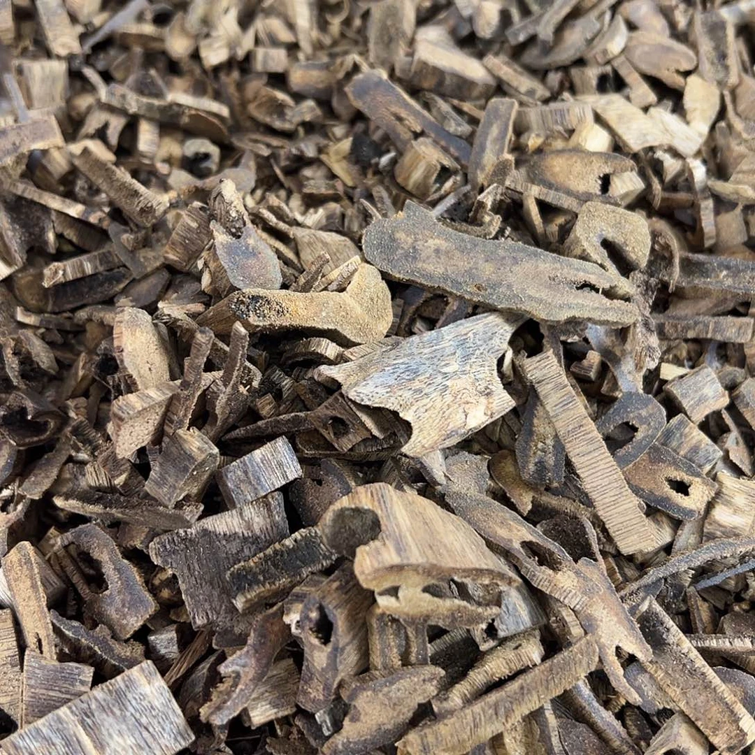 香料绿棋楠乌身圆叶100克