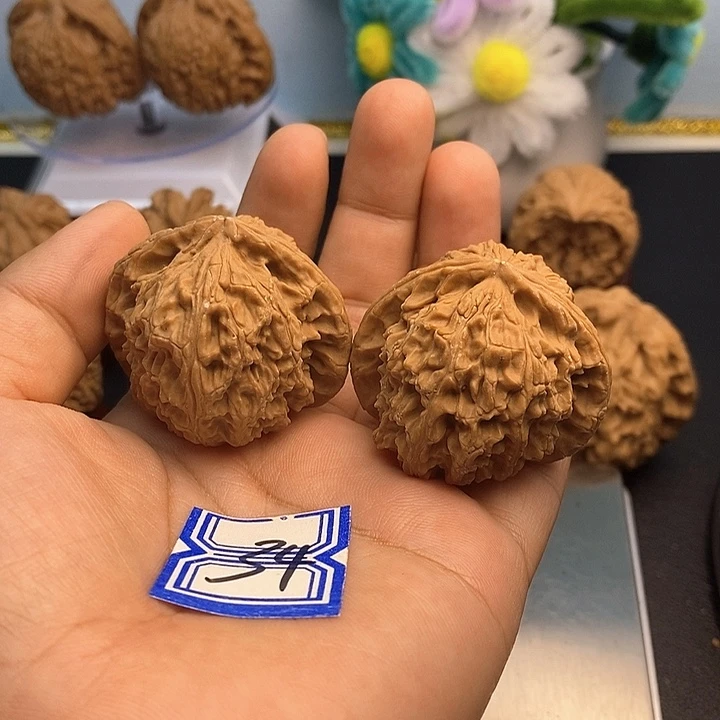 文玩核桃把件41白狮子