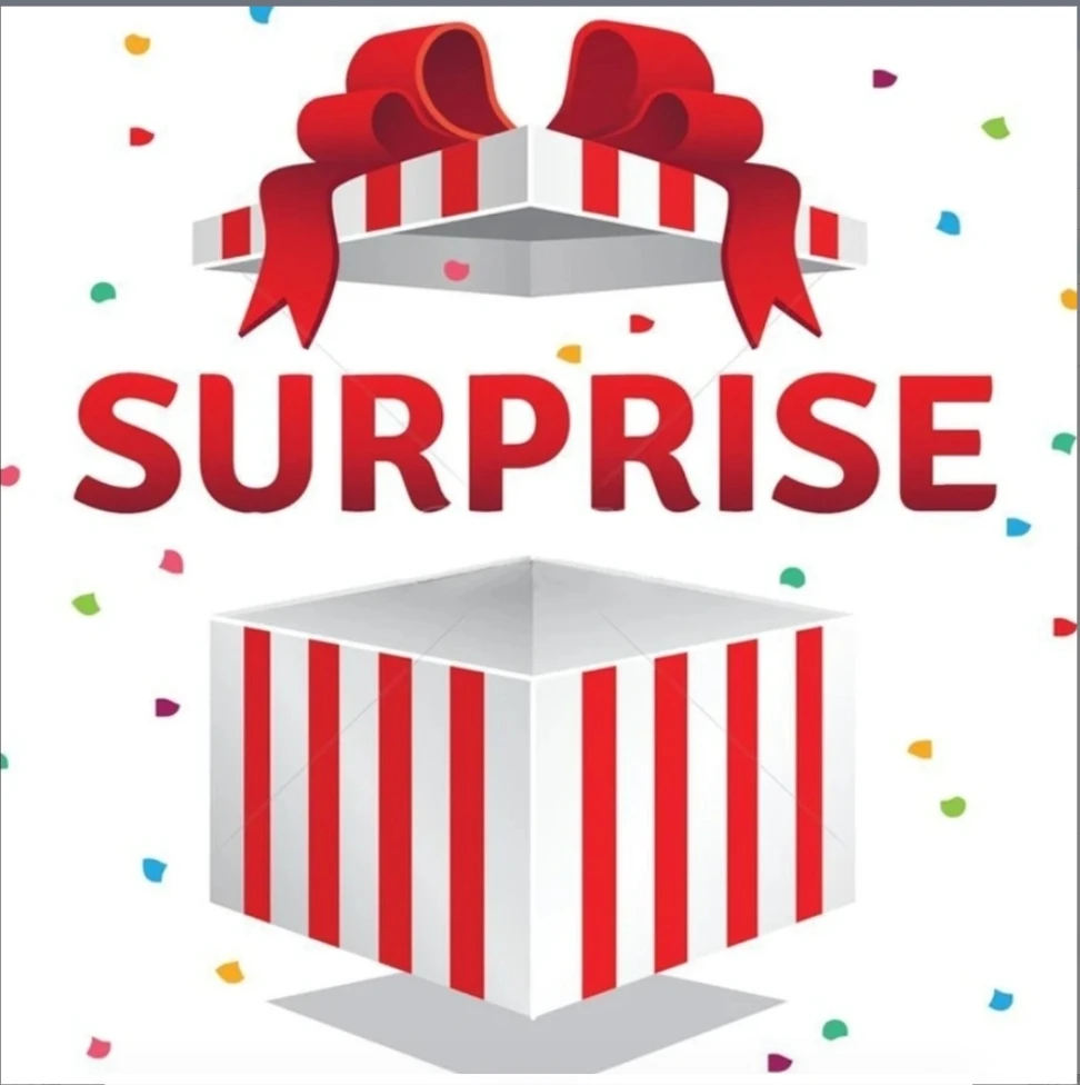 （磊磊专属）YANZAO/焱造珐琅锅惊喜盒子（先拍后展示产品）