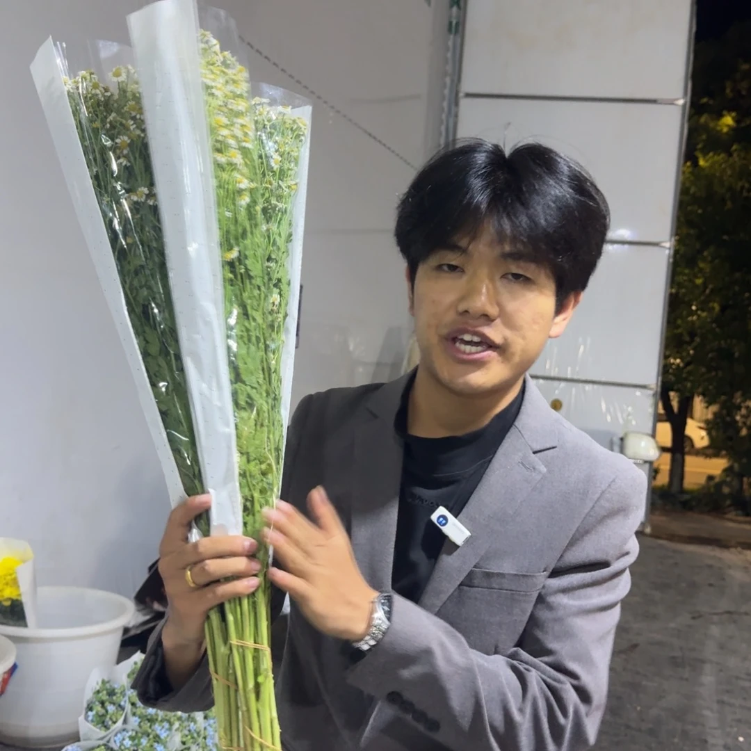 洋甘菊3扎包邮价秒杀