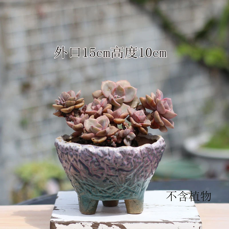 包邮麦饭石飞碟花盆粗陶透气老桩盆发口径群生盆吸水盆特价肉肉盆