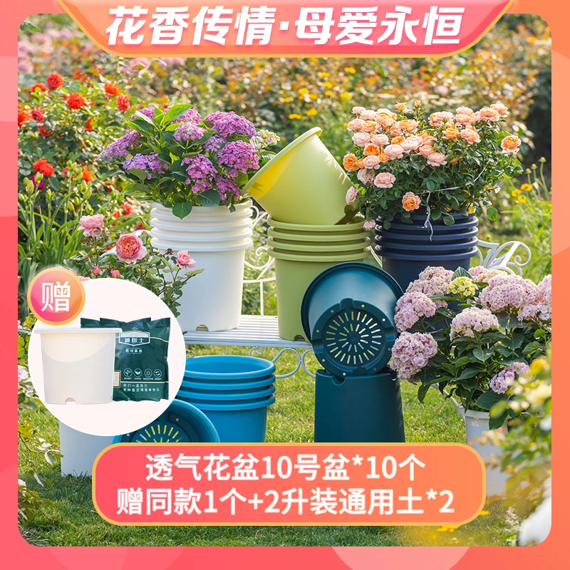 【天狼果树】LANG ROSA 10号透气花盆透水防烂根植物通用花盆