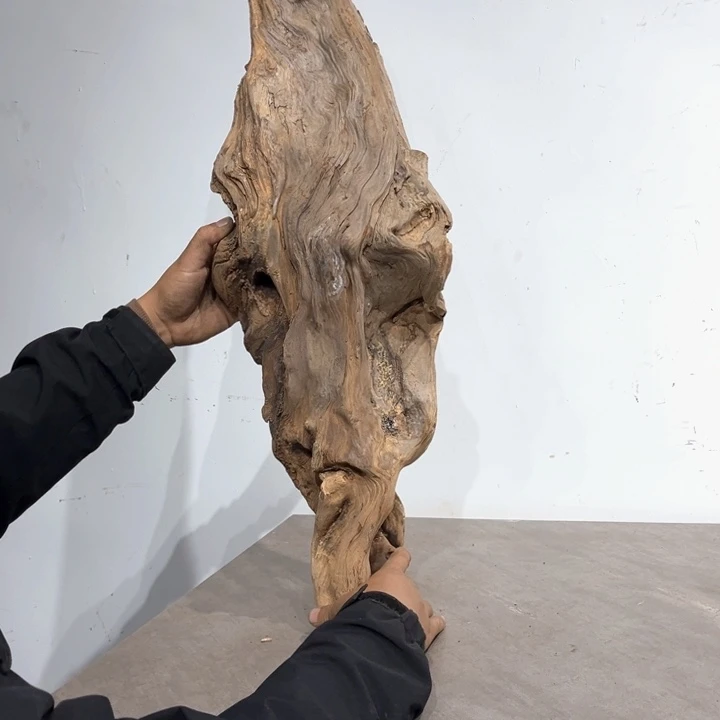 唯***F香榧木崖柏等自然景和自然风光