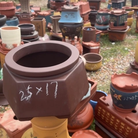 紫砂花盆紫砂花盆盆景盆栽