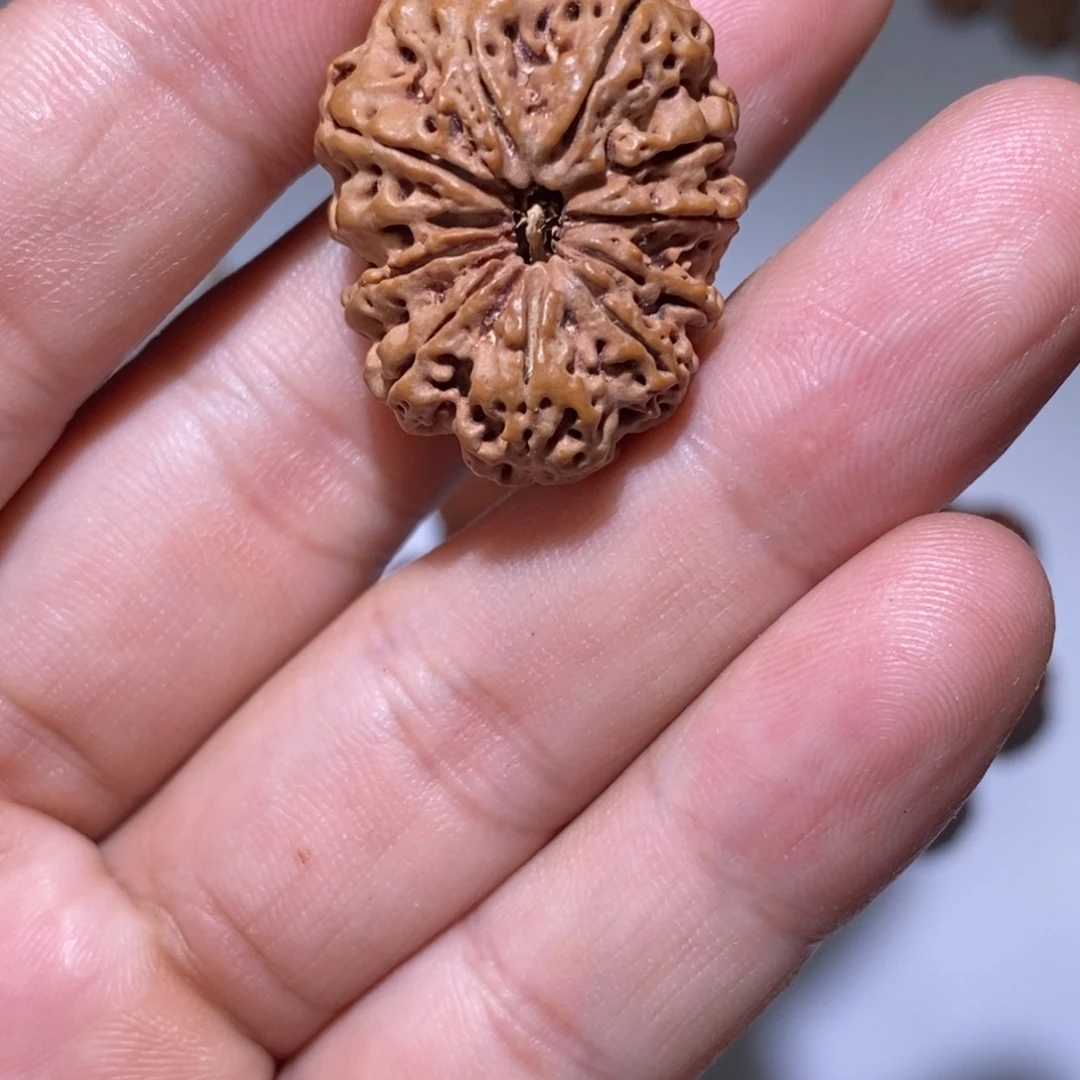 吊坠金刚菩提11瓣28.5