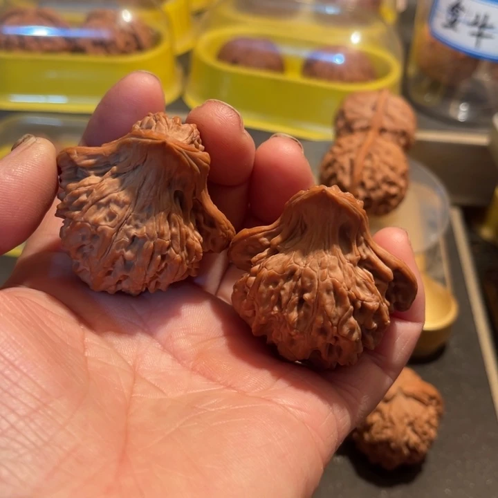 文玩核桃把件全品小鸟44