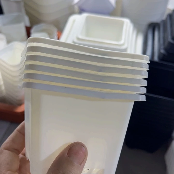 白方口9高7一组15