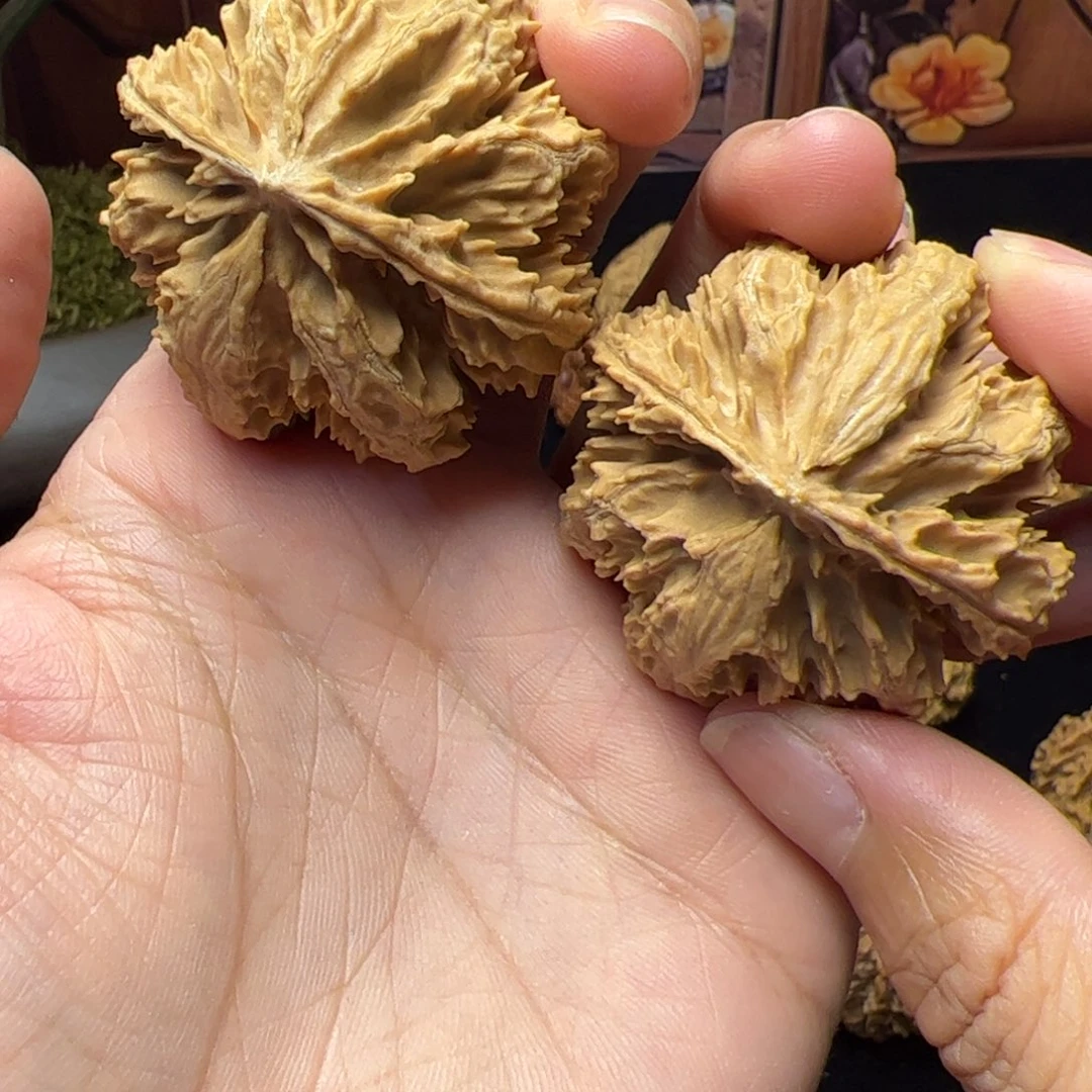 文玩核桃把件秦岭野生文玩核桃