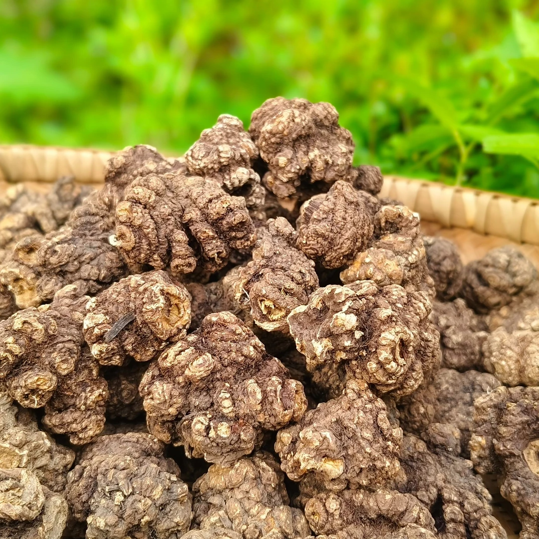 【陈孟助农】城口大巴山川芎