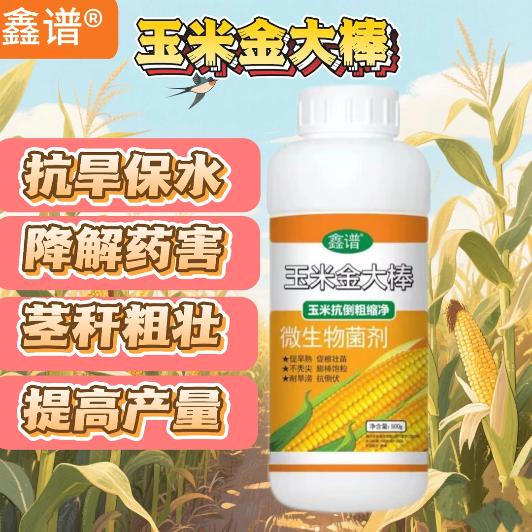 玉米一号金大棒玉米种植玉米增产增收籽粒饱 满抗倒伏专用叶面肥