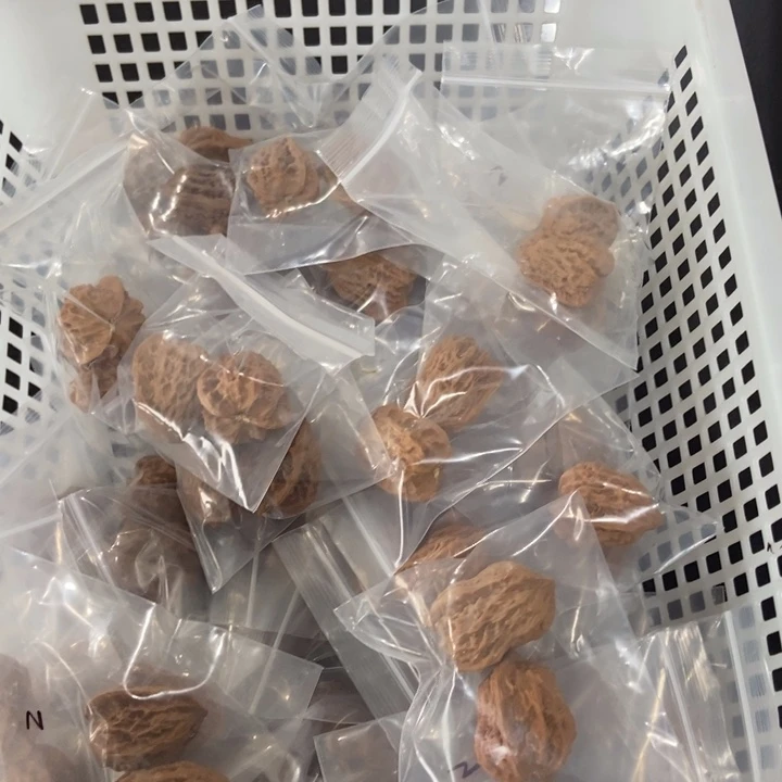 吊坠文玩核桃葫芦瑕疵