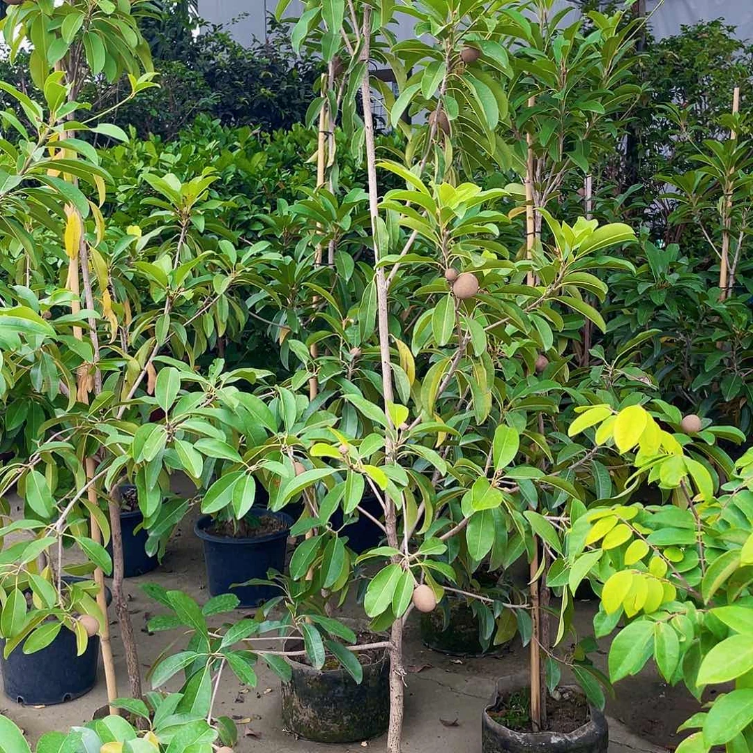 完全开放用****11111111111