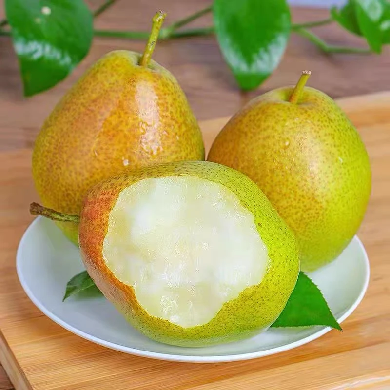 山东新头茬阳信媚梨七号皮薄清脆纯甜无渣梨4.5-5斤装水果