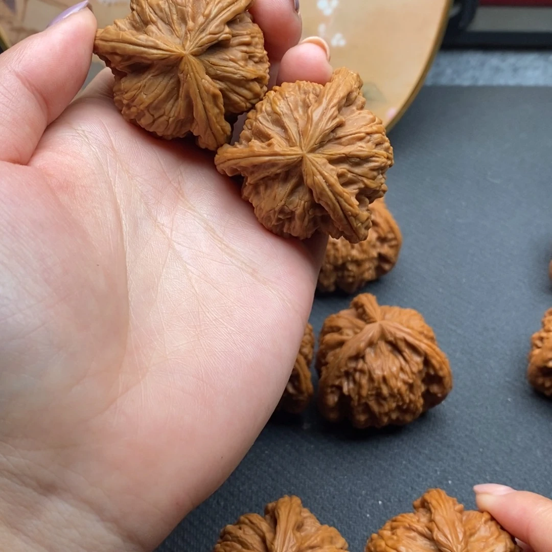 蓝**云白狮子1111111111