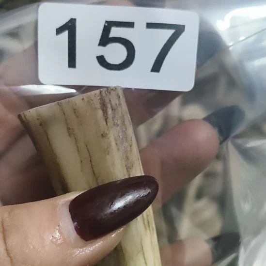 熊****鹿角鹿角鹿角鹿角鹿角鹿角