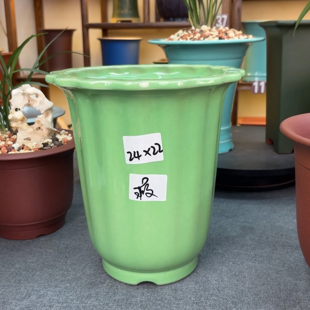 花盆紫砂兰花4557758756988