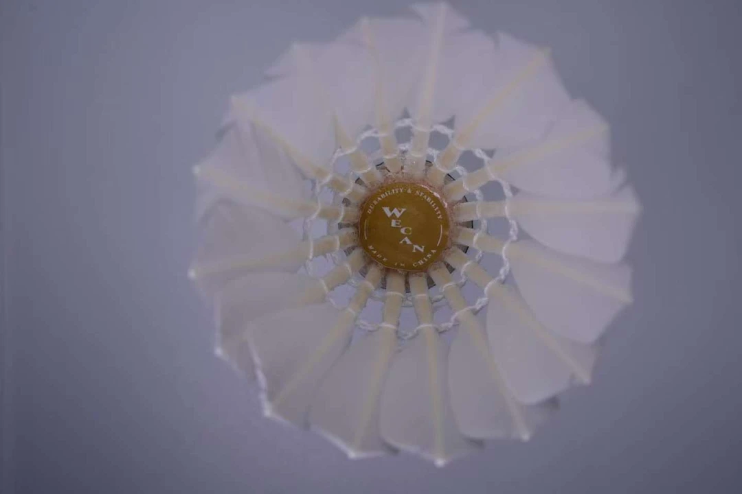 羽翊精修高性价比口粮羽毛球系列