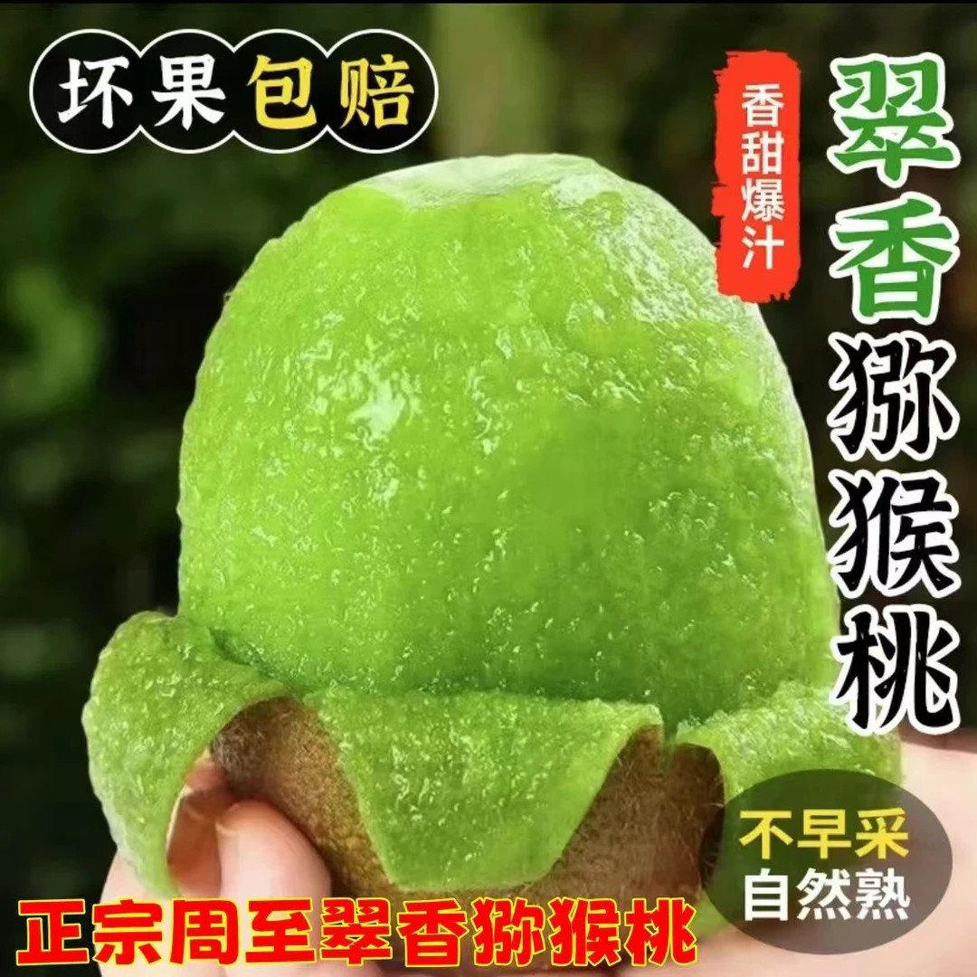 （新疆顺丰包邮）周至翠香猕猴桃香甜可口当季甜糯产地批发发货
