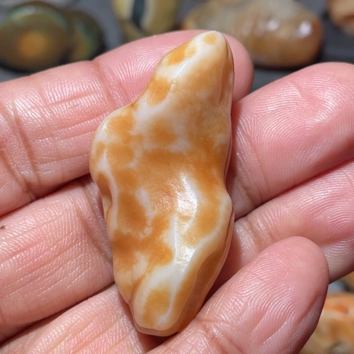 新****石材阿拉善沙漠奇石