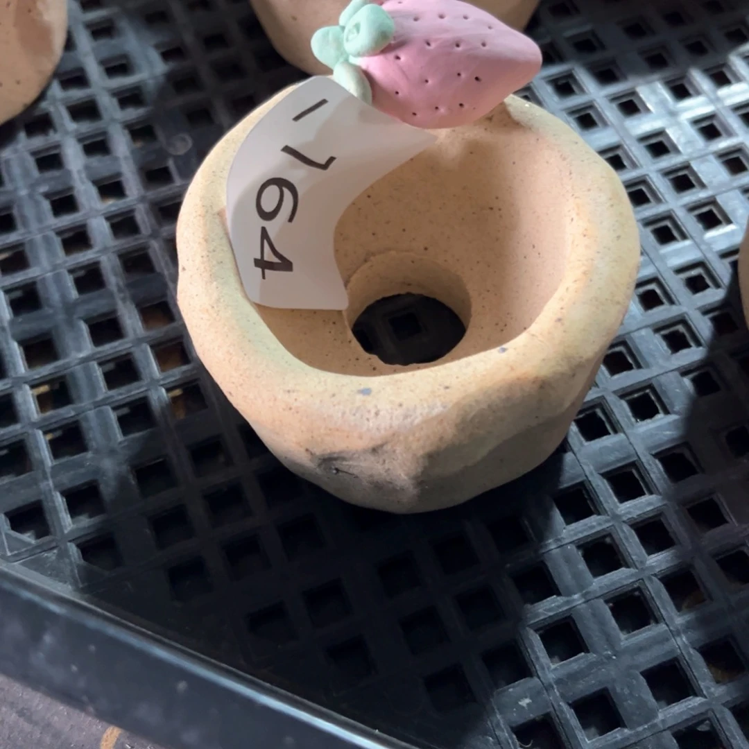 红陶164花盆  1个