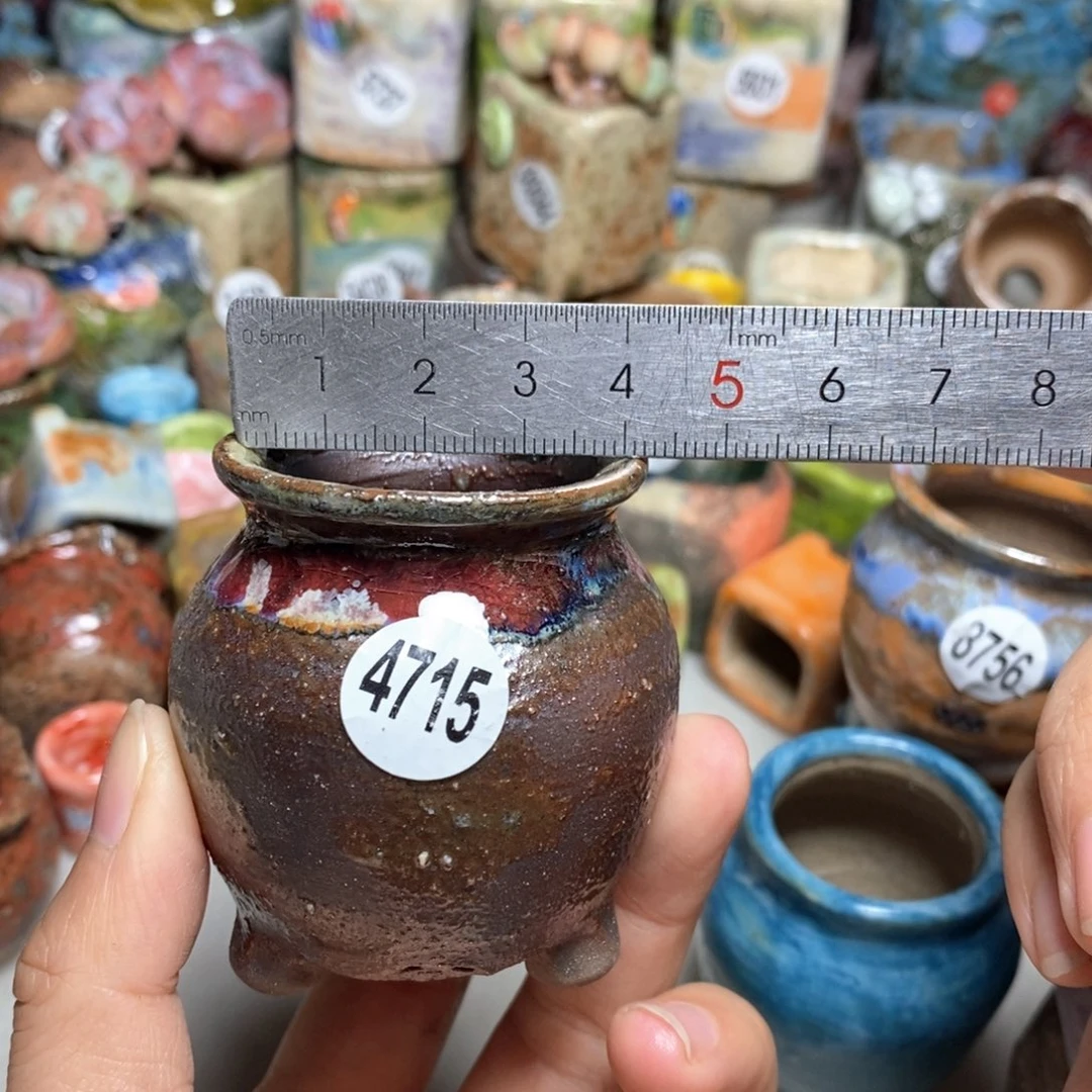 拍5送一个小礼物