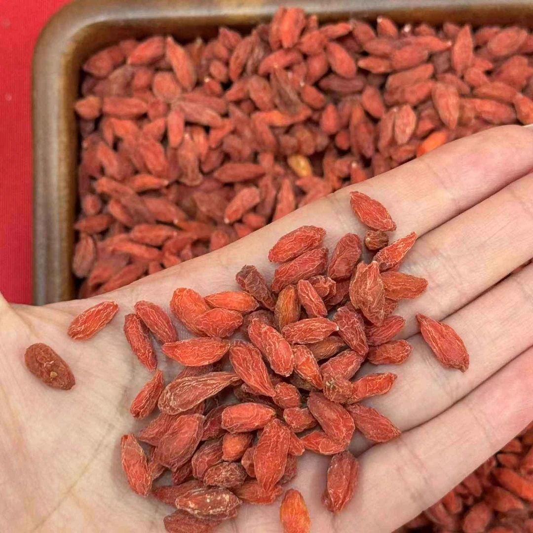 宁夏中宁正宗头茬新货大颗粒免洗枸杞子可泡酒可干吃