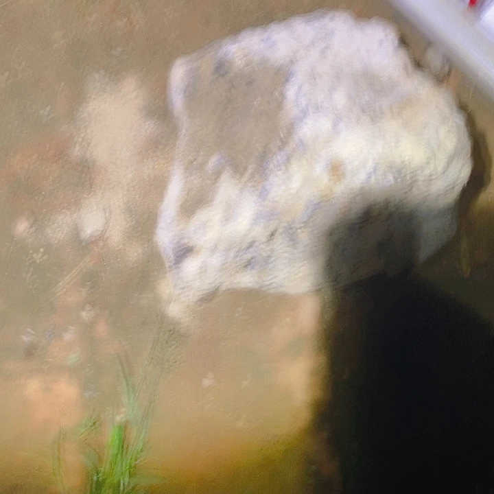 会***鱼定制玛瑙定制玛瑙