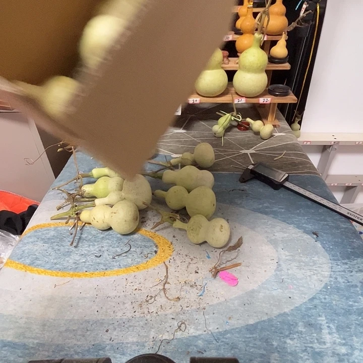 l***s草珠菩提吊坠葫芦等各种各样品种