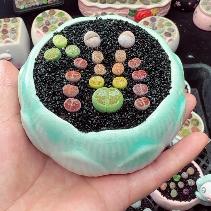 603零下地区记得拍保温箱