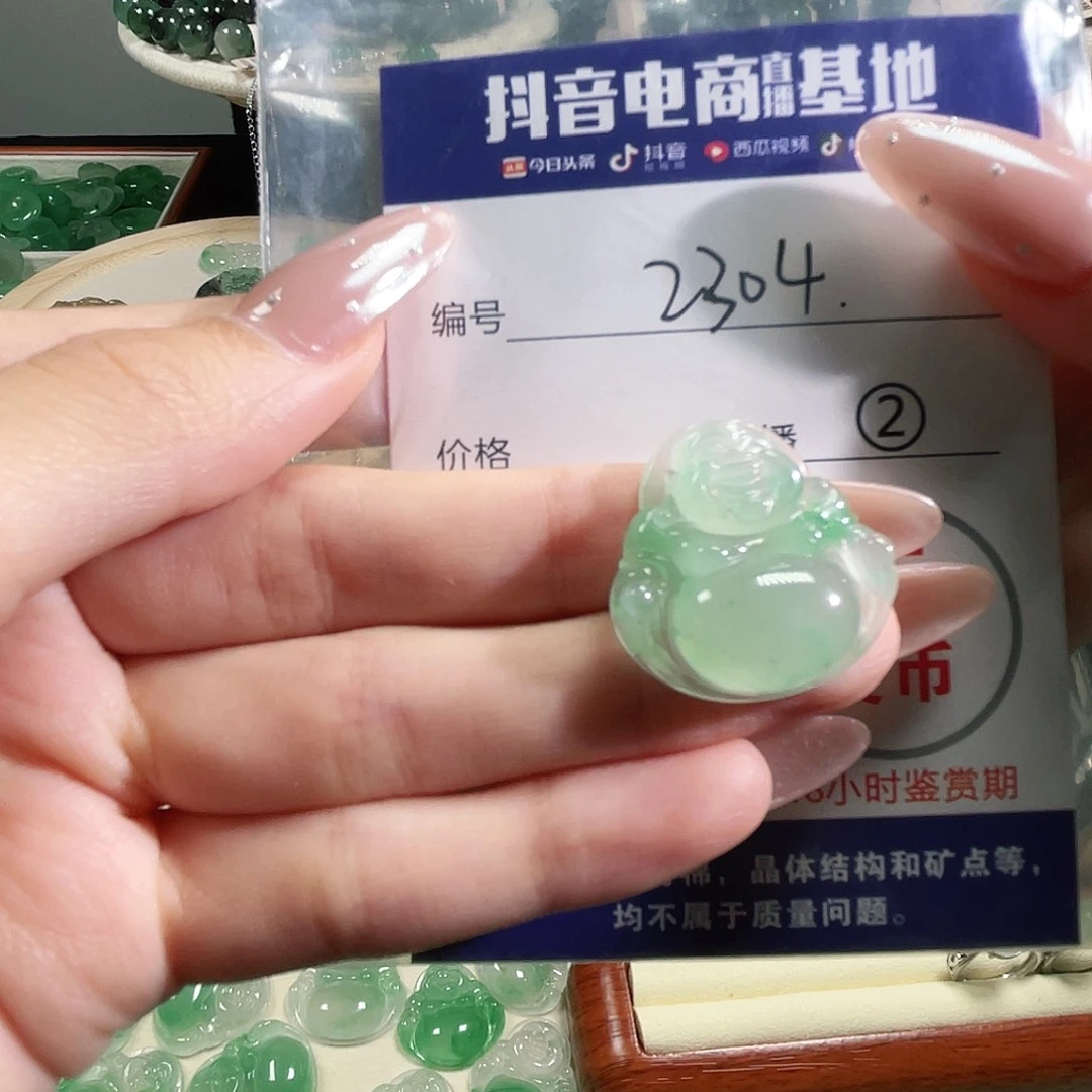 硅化玉未镶嵌颈饰