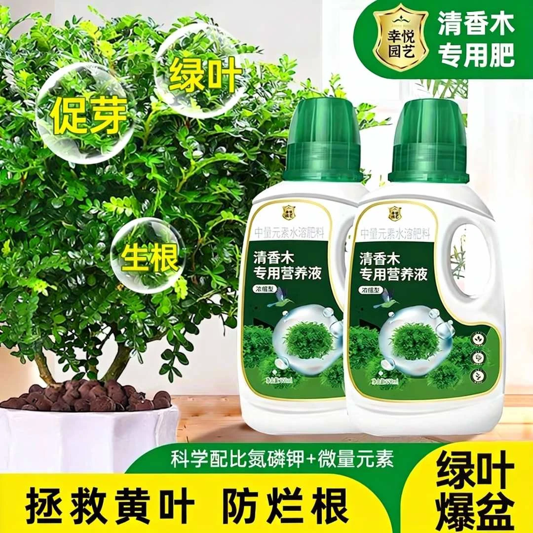 清香木浓缩型营养液花肥清香木肥料专用肥胡椒木营养液叶面肥盆景