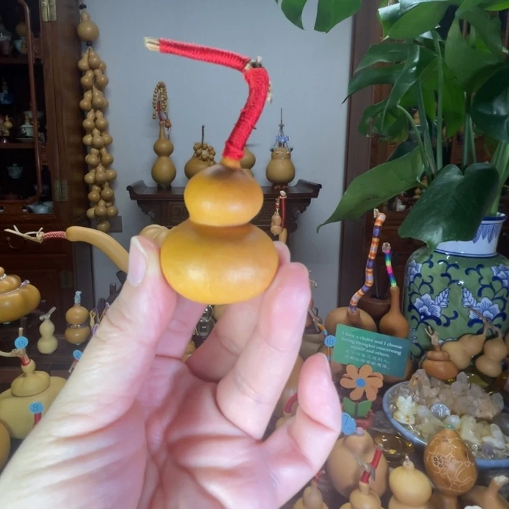 带龙头厚皮响籽葫芦