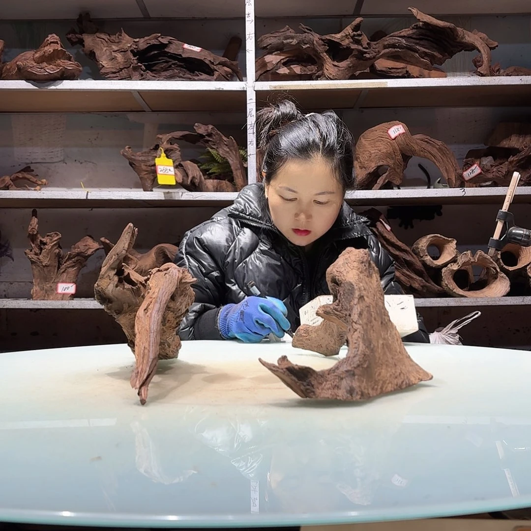 倍褚沉木，不包损必褪色忍**龟0982-2